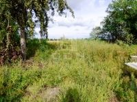 Iváncsa Családi ház