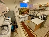 Ráckeve Családi ház