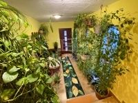 Ráckeve Családi ház