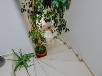 Dunakeszi Családi ház