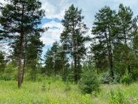 Kecskemét Családi ház