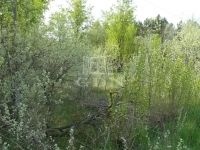 Kecskemét Mezőgazdasági terület