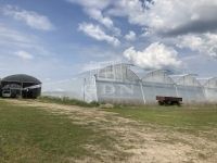 Kecskemét Mezőgazdasági terület