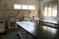 Lajosmizse Üzlethelyiség