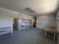 Lajosmizse Üzlethelyiség