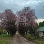 Bükkszék Vendéglátás