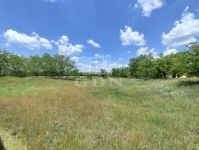 Nyárlőrinc Kastély, kúria