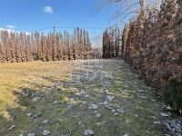 Kecskemét Családi ház