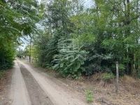 Ballószög Családi ház