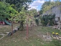 Kecskemét Családi ház