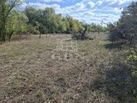 Eladó mezőgazdasági terület Kerekegyháza, 20032m2