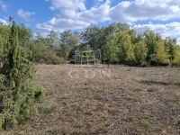 Kerekegyháza Mezőgazdasági terület