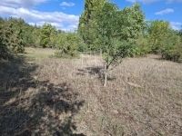 Kerekegyháza Mezőgazdasági terület