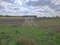 Eladó mezőgazdasági terület Kerekegyháza, 12000m2