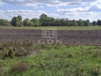 Kerekegyháza Mezőgazdasági terület