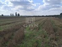 Kerekegyháza Mezőgazdasági terület