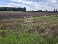 Kerekegyháza Mezőgazdasági terület