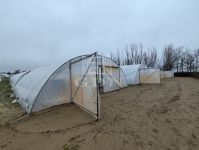 Kiskunfélegyháza Családi ház