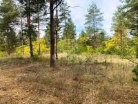 Kecskemét Családi ház