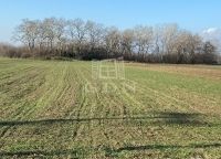 Eladó telek Tököl, 5927m2