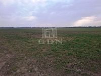 Kiskunlacháza Telek