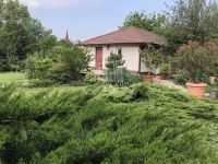 Tököl Családi ház