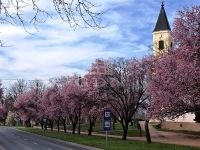 Tököl Családi ház