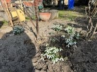 Dömsöd Családi ház