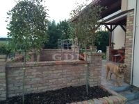 Szigethalom Családi ház