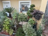 Szigetszentmiklós Családi ház