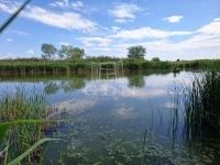 Szigetcsép Családi ház