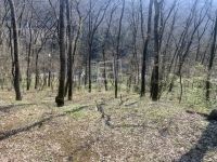 Eladó telek Kismaros, 931m2