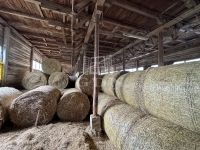 Szokolya Mezőgazdasági terület