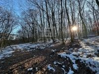 Eladó telek Kismaros, 1191m2