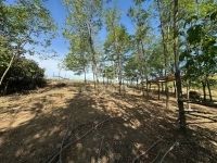 Galgagyörk Családi ház