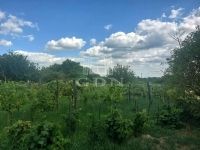 Marcali Mezőgazdasági terület