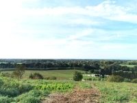 Eladó telek Alsóújlak, 28509m2