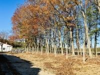 Zalaegerszeg Raktár