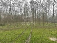 Öreglak Családi ház