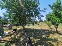 Szentpéterúr Családi ház