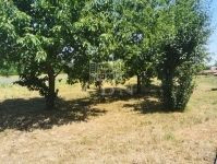 Szentpéterúr Családi ház