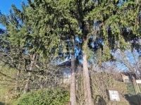 Hahót Családi ház