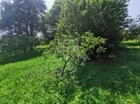 Boncodfölde Családi ház