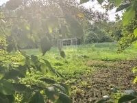 Pannonhalma Családi ház