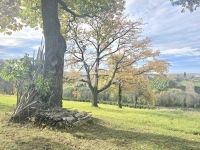 Zalaegerszeg Családi ház