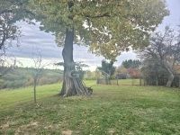 Zalaegerszeg Családi ház