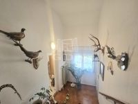 Zalaegerszeg Családi ház