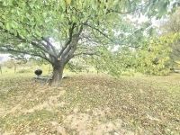 Kispáli Családi ház