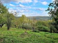 Eladó telek Zalaegerszeg, 5300m2