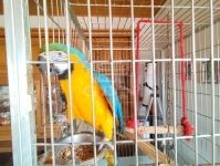 Eladó családi ház Mátyásdomb, 142m2